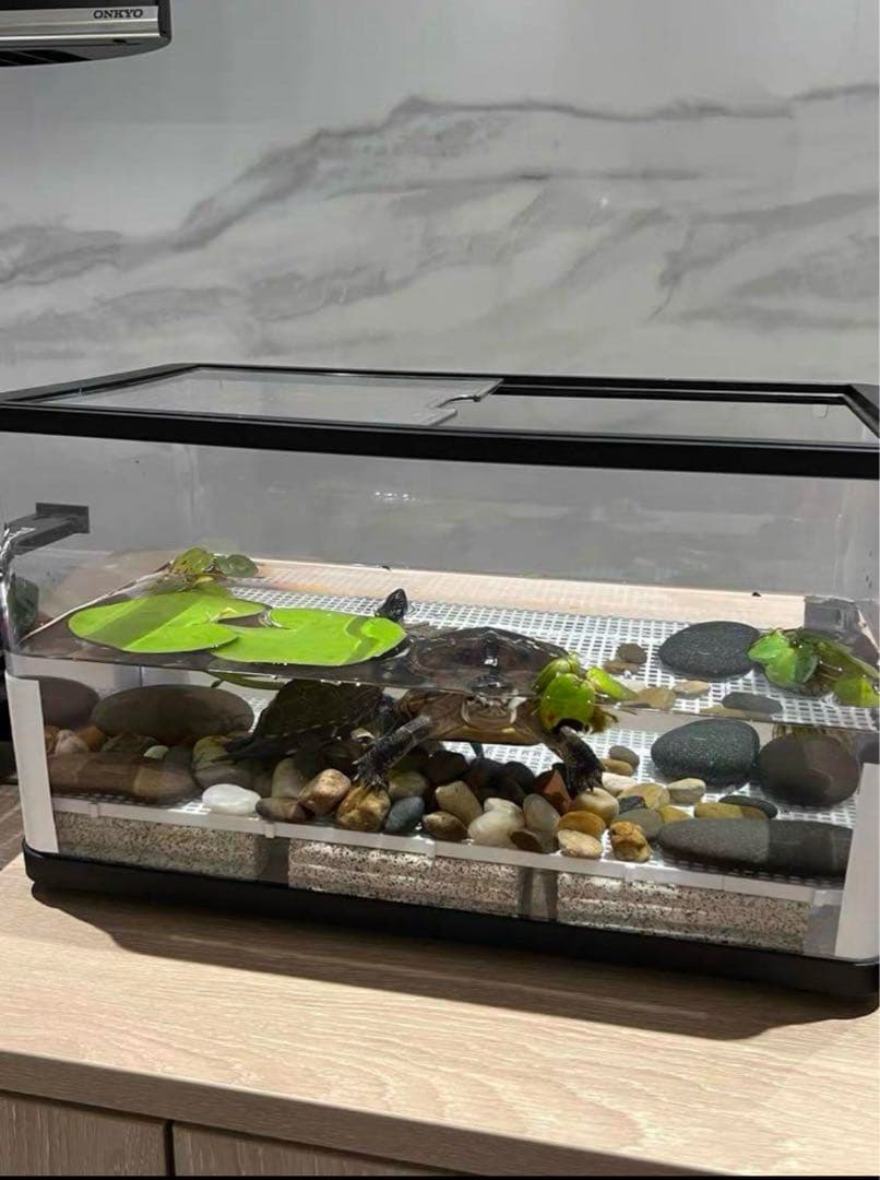 市場最安値200本卸価格 多孔質セラミック製水槽池用濾過材淡水海水魚フィルター