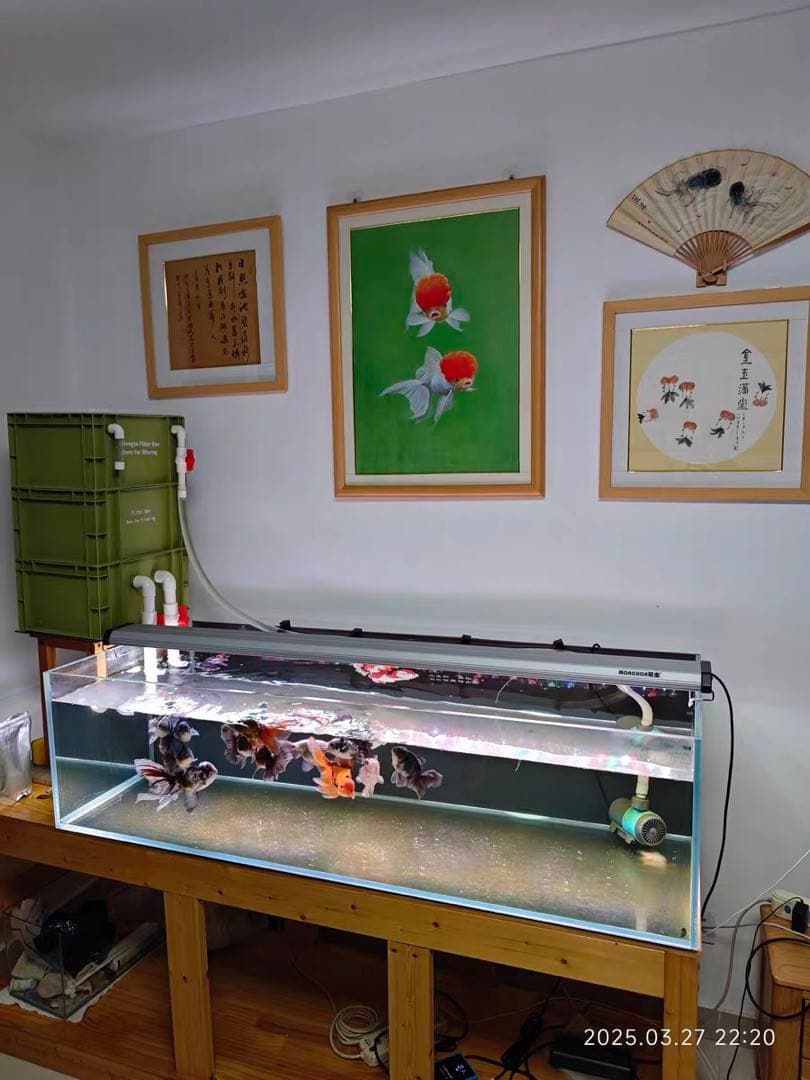 市場最安値200本卸価格 多孔質セラミック製水槽池用濾過材淡水海水魚フィルター