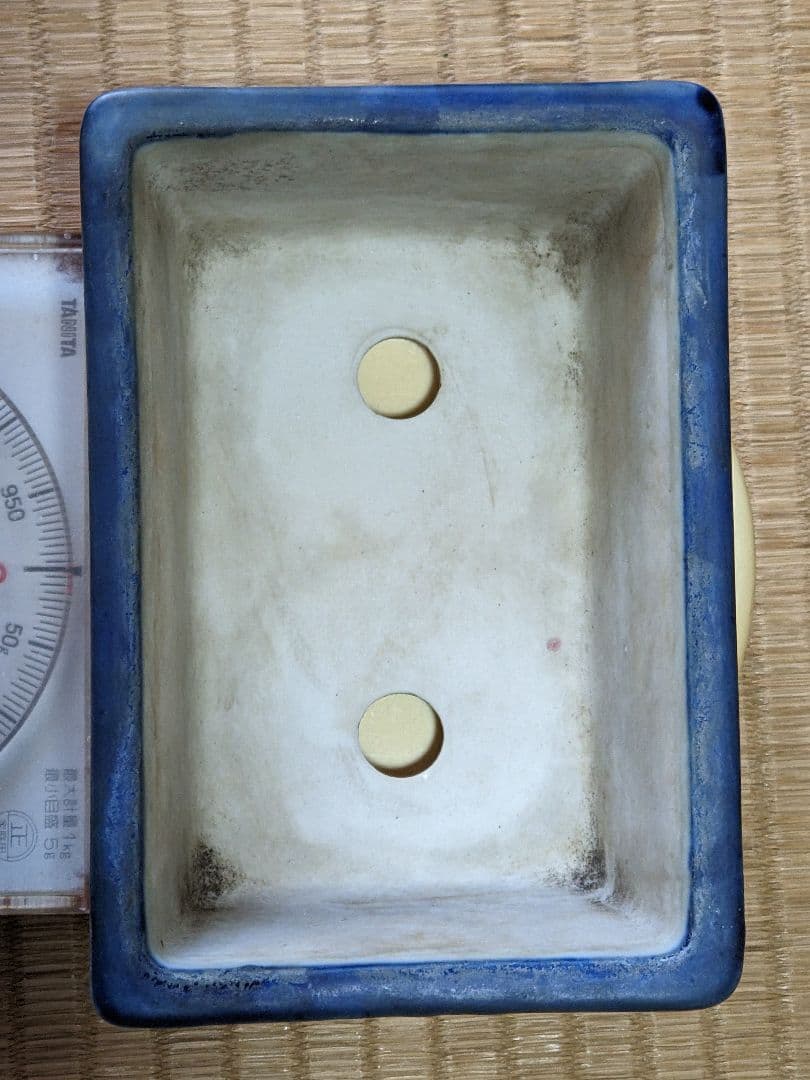 ♦染付山水図 長方角鉢 小品盆栽鉢 ミニ盆栽鉢 作家物 美術品 工芸品 骨董品