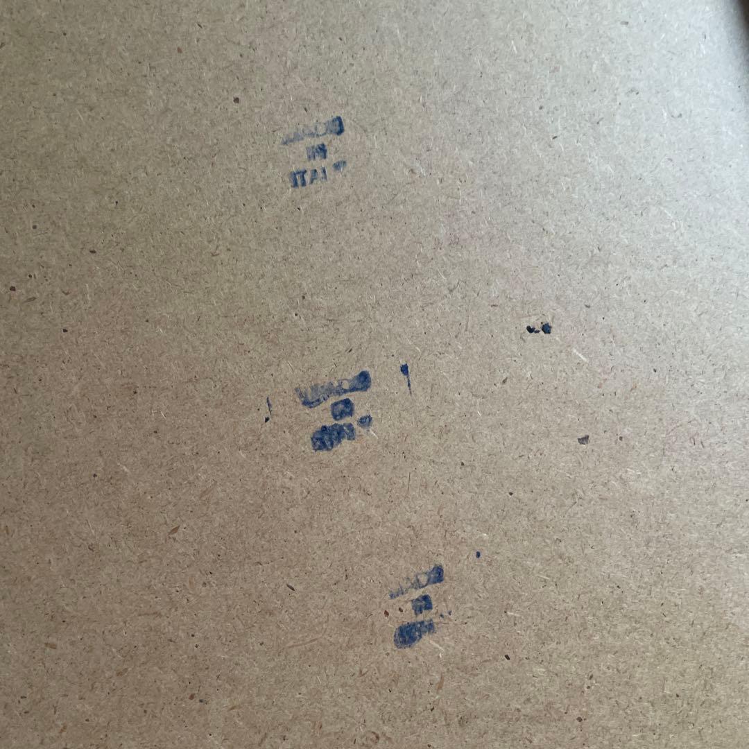 植物絵画　額入り