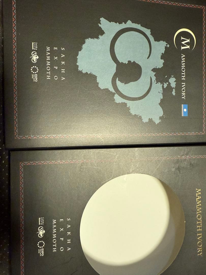 マンモスの骨 永久凍土から 愛・地球博　2005年　愛知万博（サハ共和国）