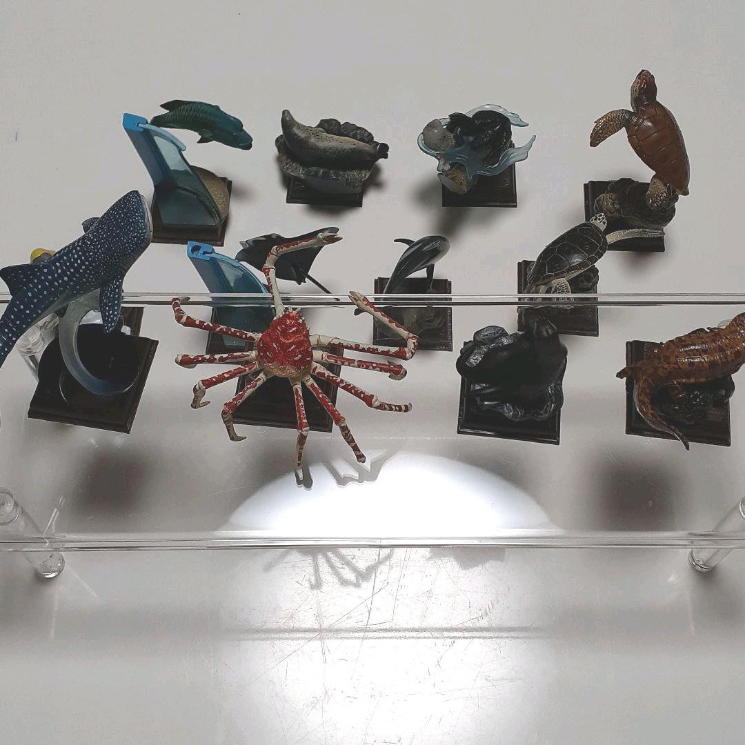 フィギュア　海遊館ミュージアム(全12種)コンプリート