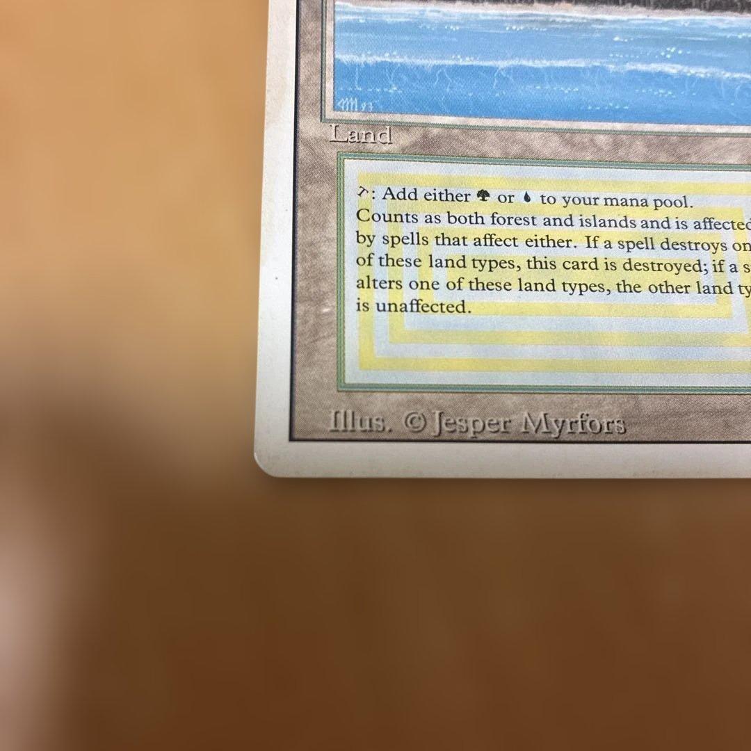 MTG Tropical  英語