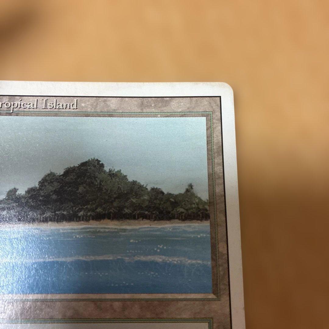 MTG Tropical  英語