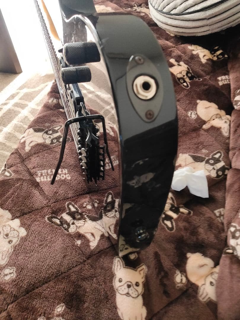 Ibanez RG370DX エレキギター アイバニーズ 背面カバー無 シールド