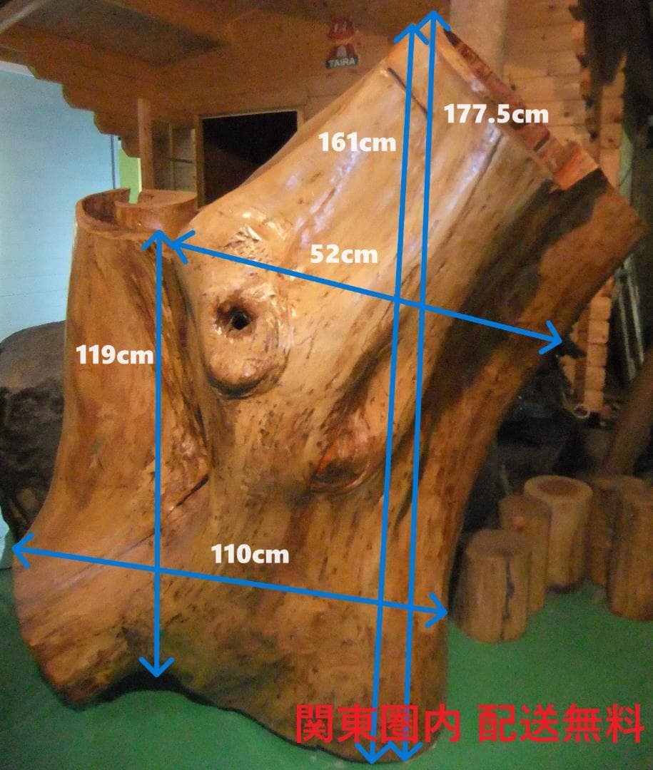 【稀少レア１点物】巨木★巨大樹木★自然派ナチュラル系、生け花【展示品★送料別】
