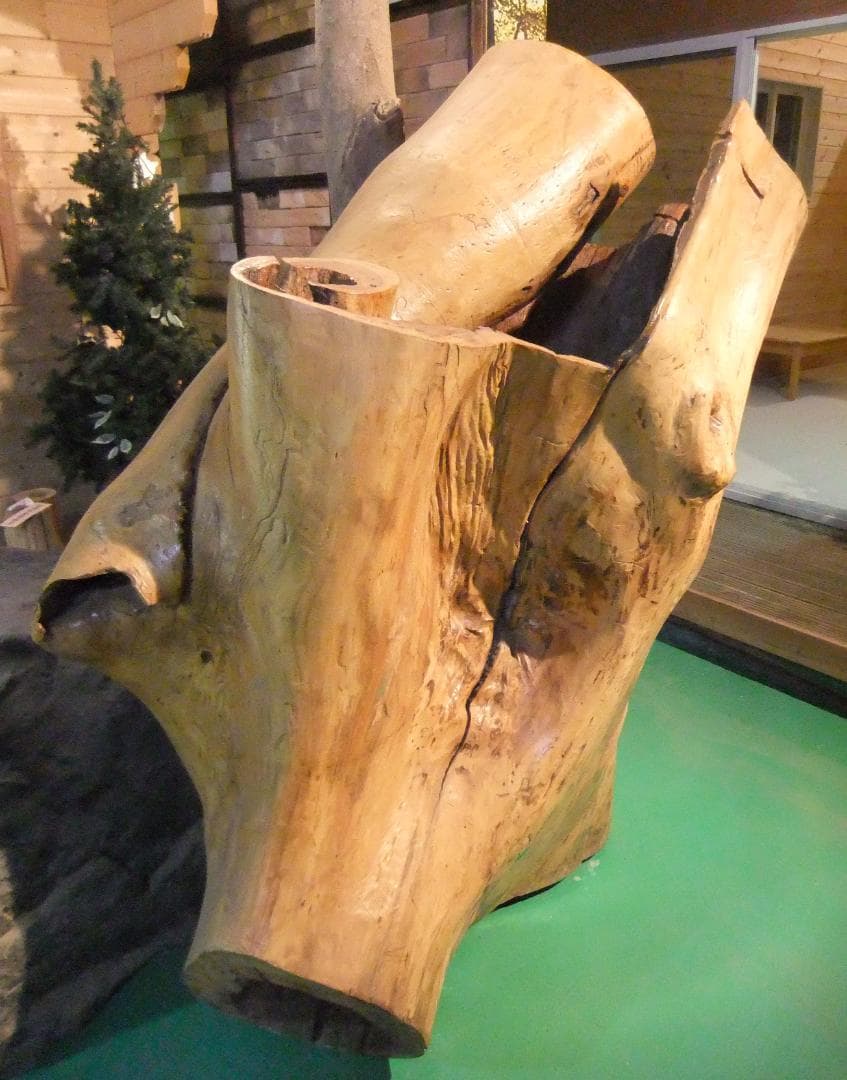 【稀少レア１点物】巨木★巨大樹木★自然派ナチュラル系、生け花【展示品★送料別】