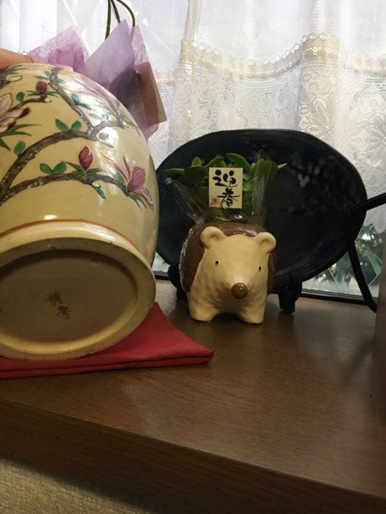 薩摩の白焼き壺