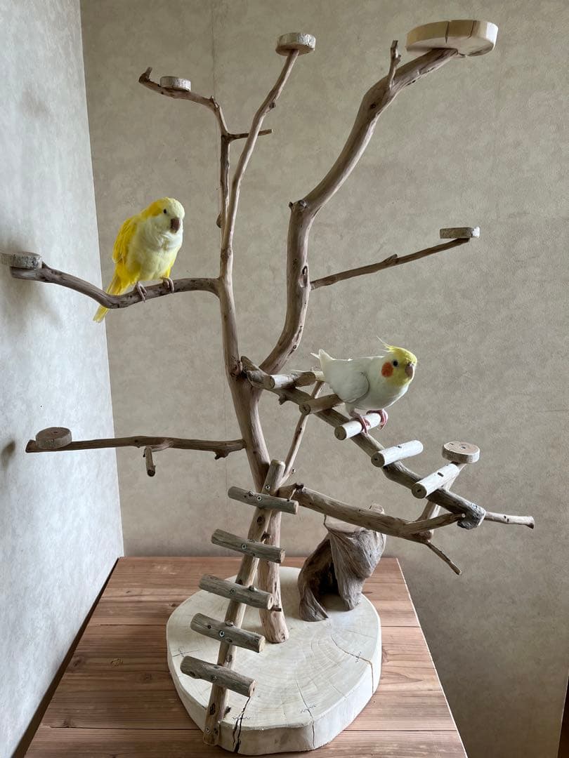 鳥インコ止まり木 流木バードアスレチックタワー型 特大サイズバードジムバードトイ