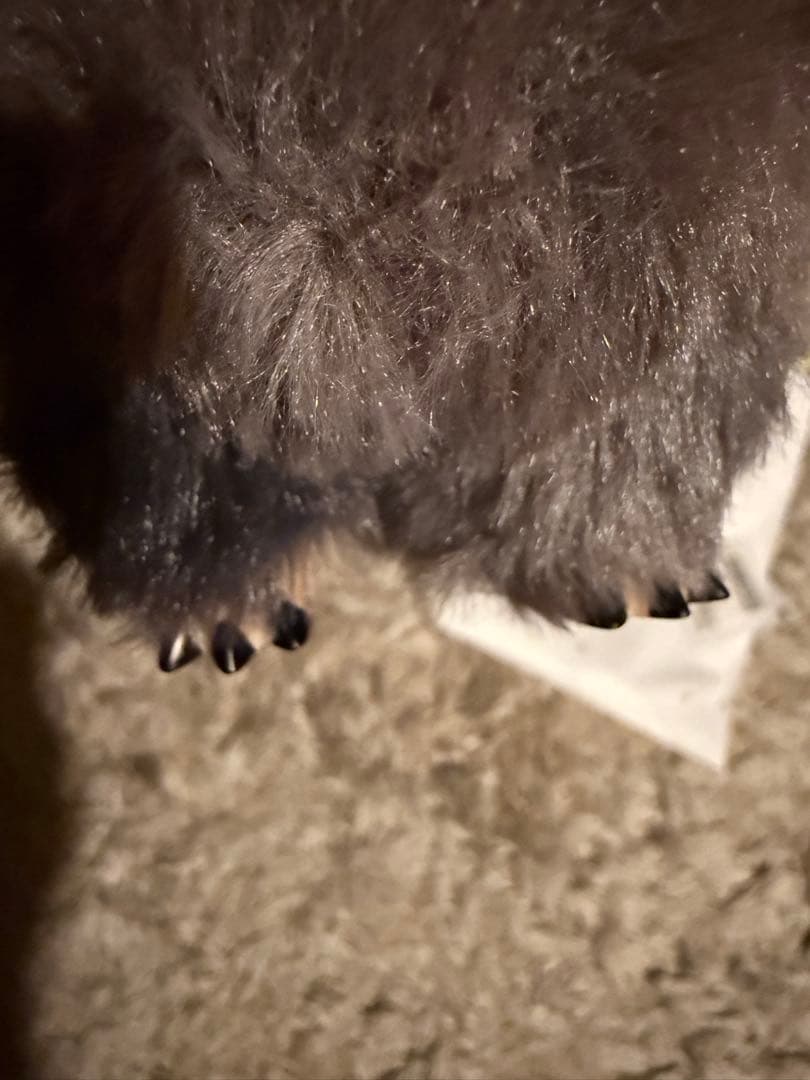 正規品　ラブブ　エナジー　シークレット　POP MART