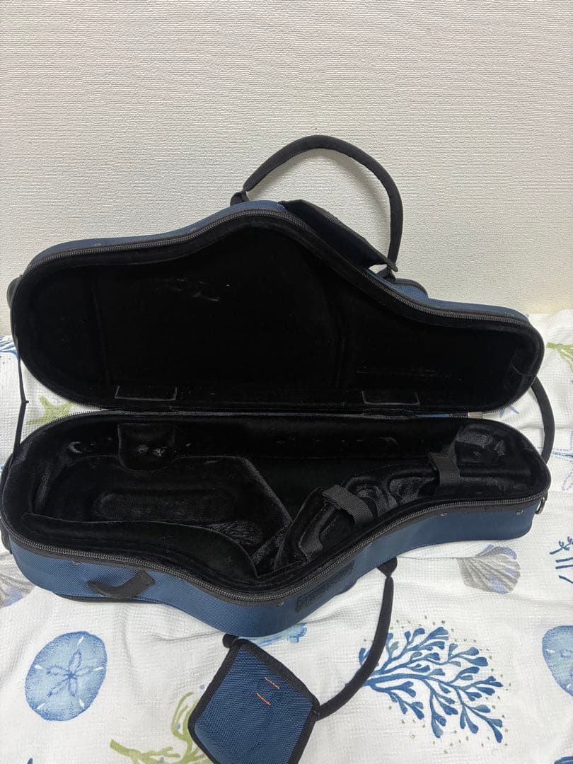 プロテック アルト用ケース PB304CTBX. バックパックストラップ付き