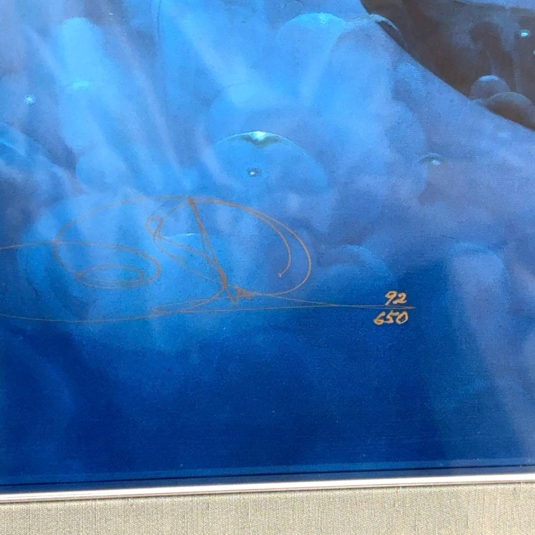 ジョン・ピトレー 「フリーダム」 直筆サイン有 マリンアート イルカ