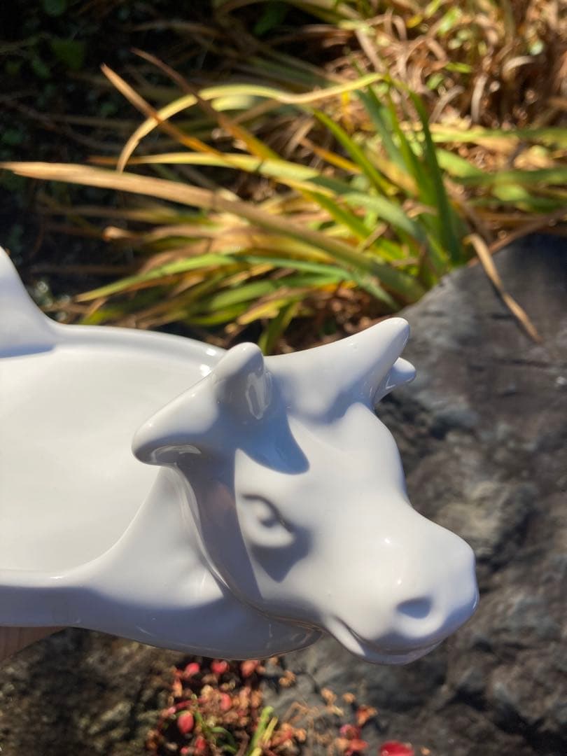 ヨーロッパ製　牛のチーズ皿　白磁　陶器皿La Porcellana Bianca