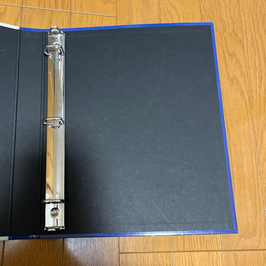 【激レア】蒼海の王子マナフィ　カイオーガ　コレクションファイル