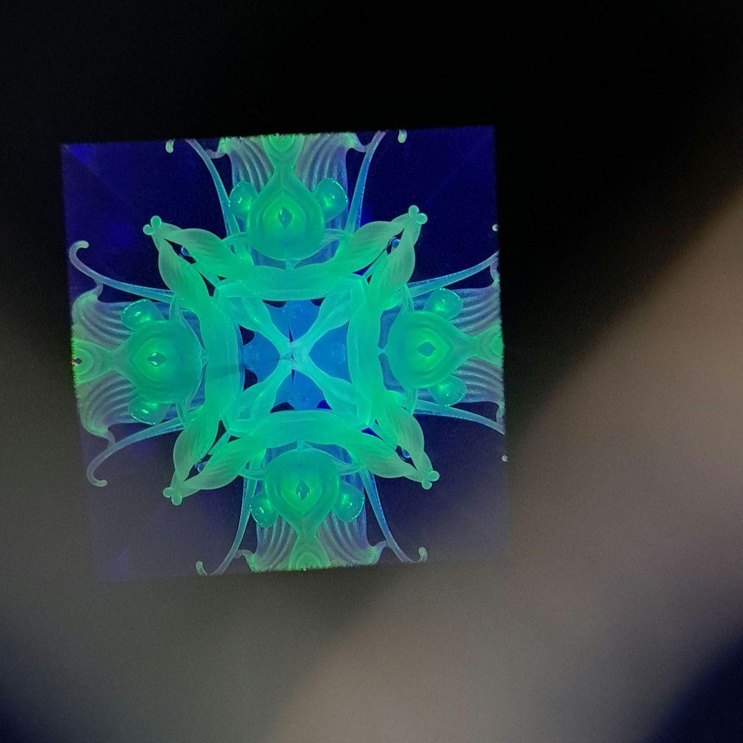 最終値下げ　代永正樹さん　ドライ万華鏡　1点物