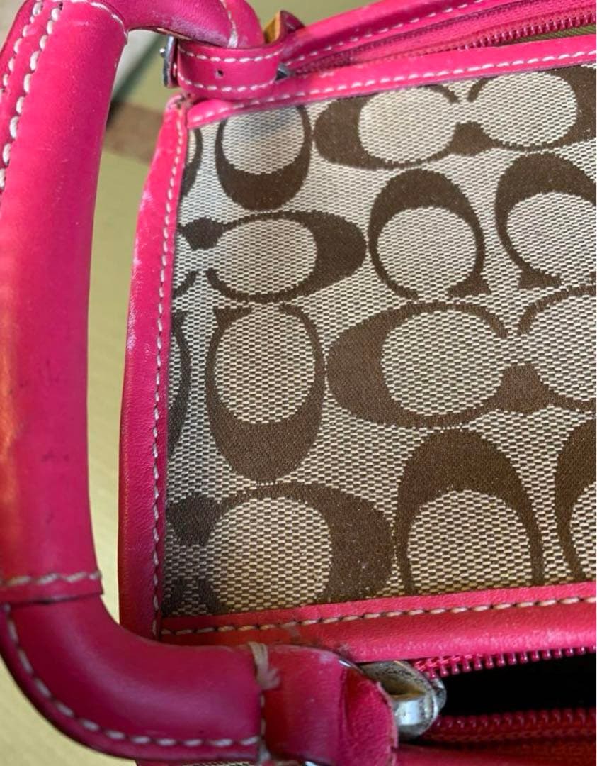 【激レア】Coach キャリーバッグ ペット用　ペットキャリー