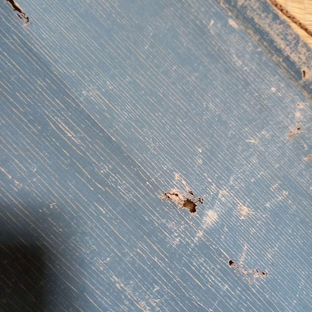 掛軸　希少　コレクション　古物　鶏