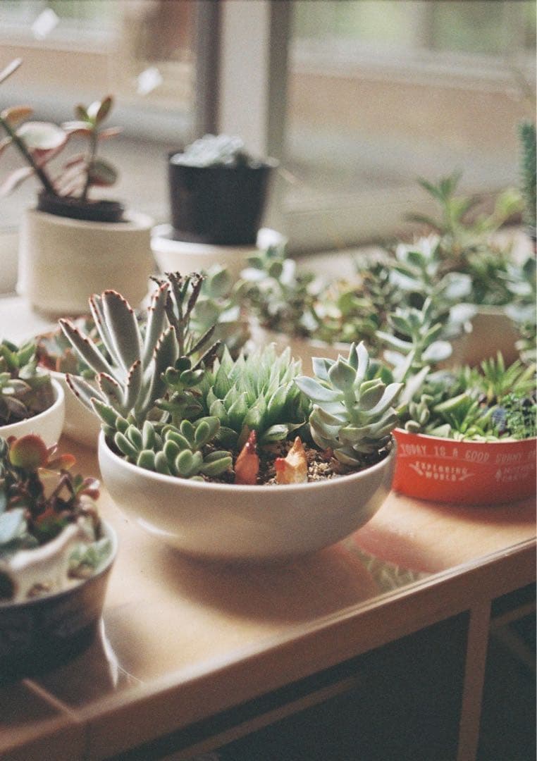 2月中セール！オリンパス ペンＦＴ [スクリーン改造済み] 説明書付き