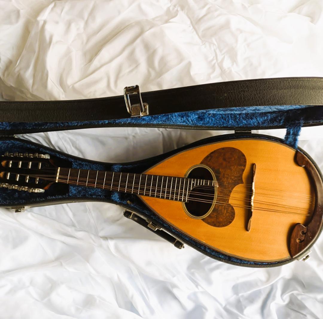 ✨SUZUKI M-30 木製 8弦マンドリン 本体 ＋ 専用ハードケース付き✨