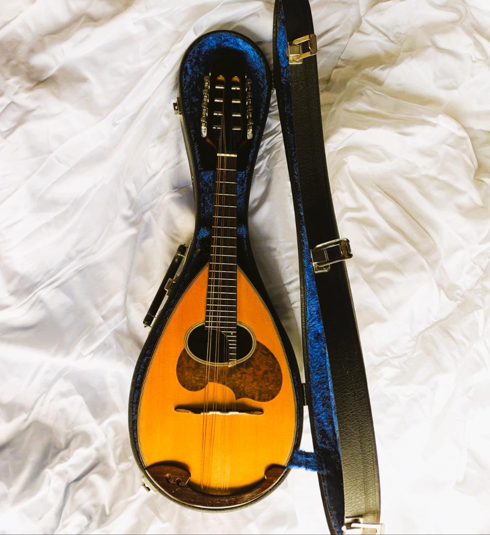 ✨SUZUKI M-30 木製 8弦マンドリン 本体 ＋ 専用ハードケース付き✨