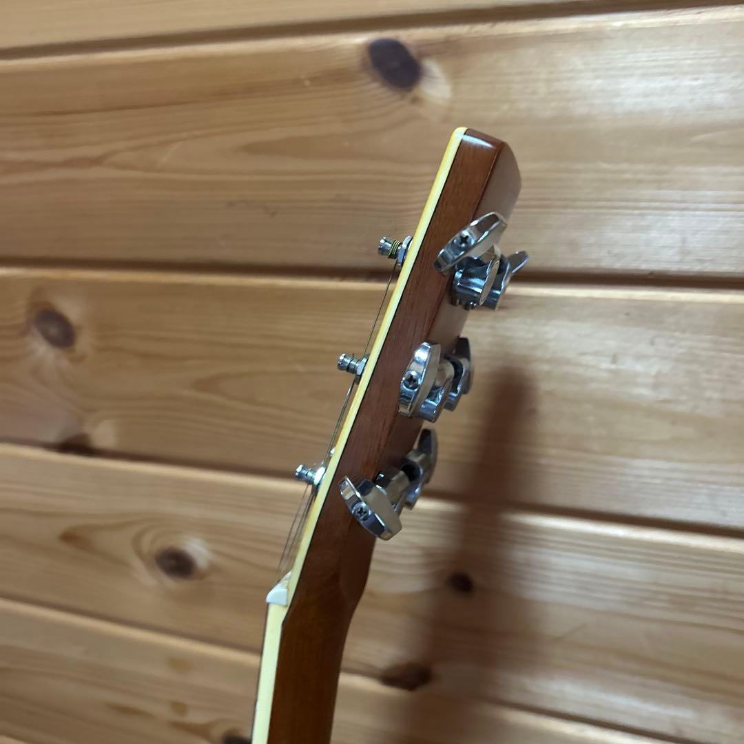 【美品】EKONアコギW-325