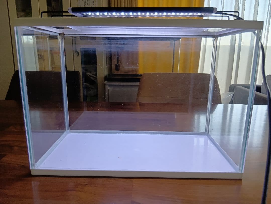 オクラ【千葉県北西部引取】60cm水槽、水槽台、LED等のセット