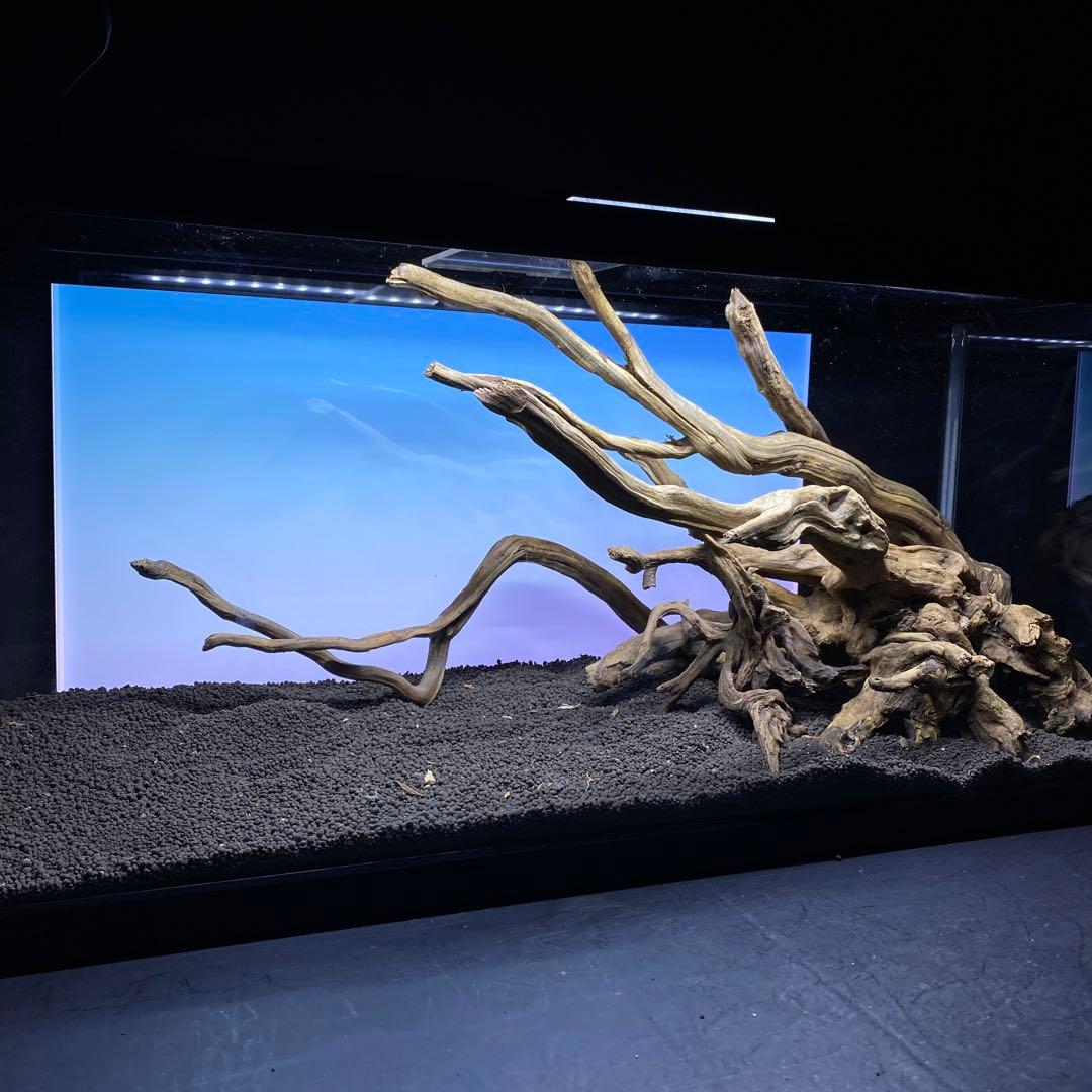 MSRW-6372 天然流木レイアウトセット　スリムウッド　アクアリウム