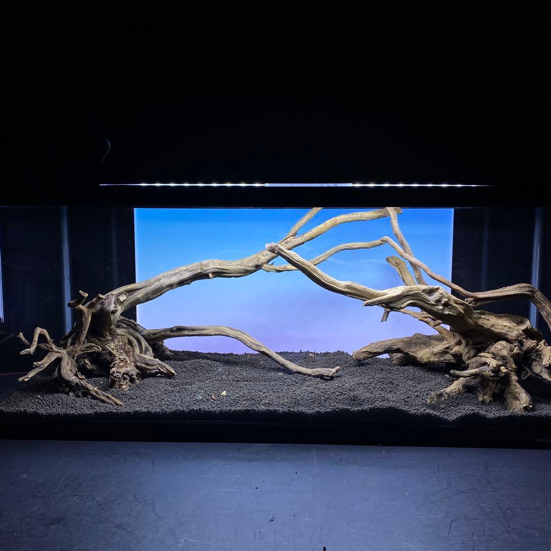 MSRW-6372 天然流木レイアウトセット　スリムウッド　アクアリウム