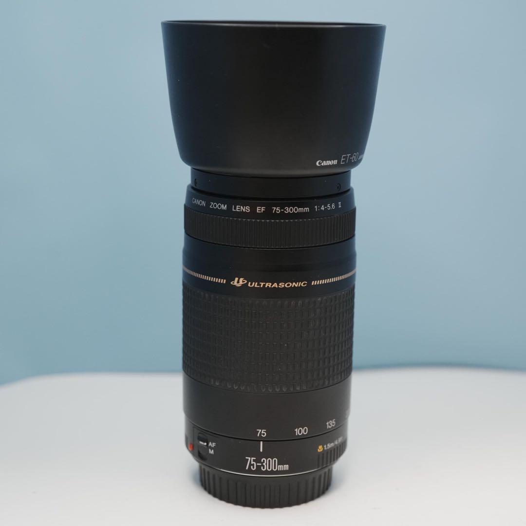 Canon純正 75-300mm 望遠レンズ a3115