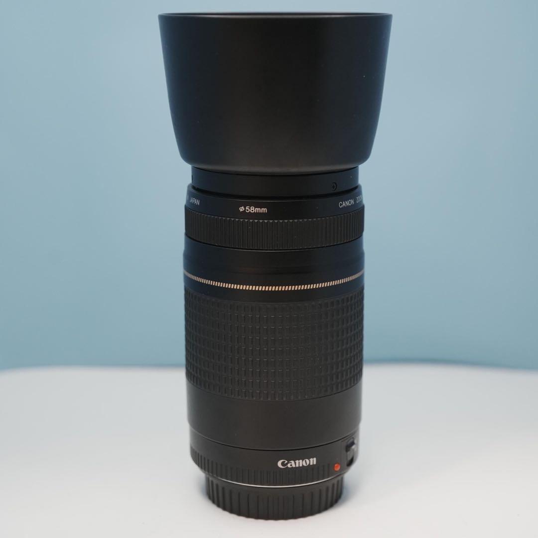 Canon純正 75-300mm 望遠レンズ a3115