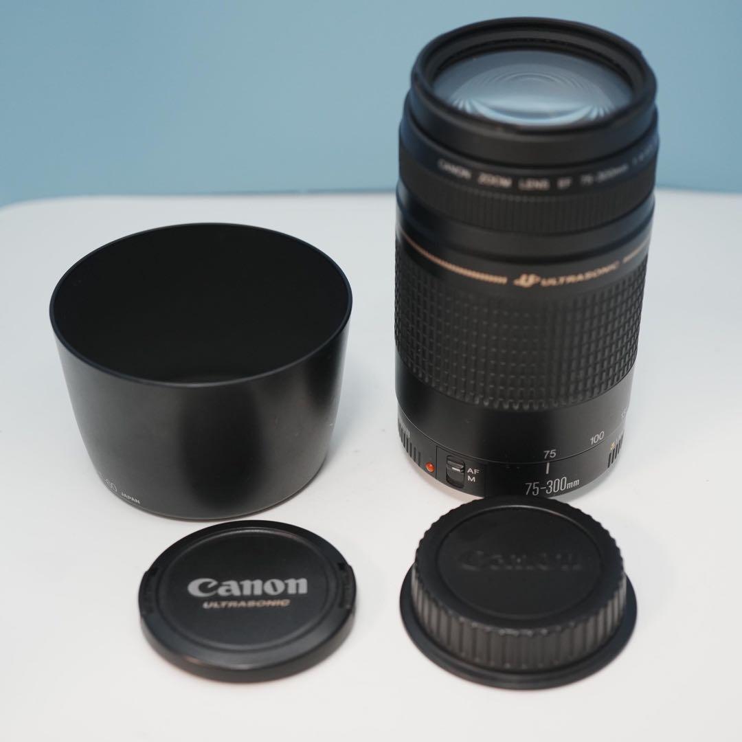 Canon純正 75-300mm 望遠レンズ a3115