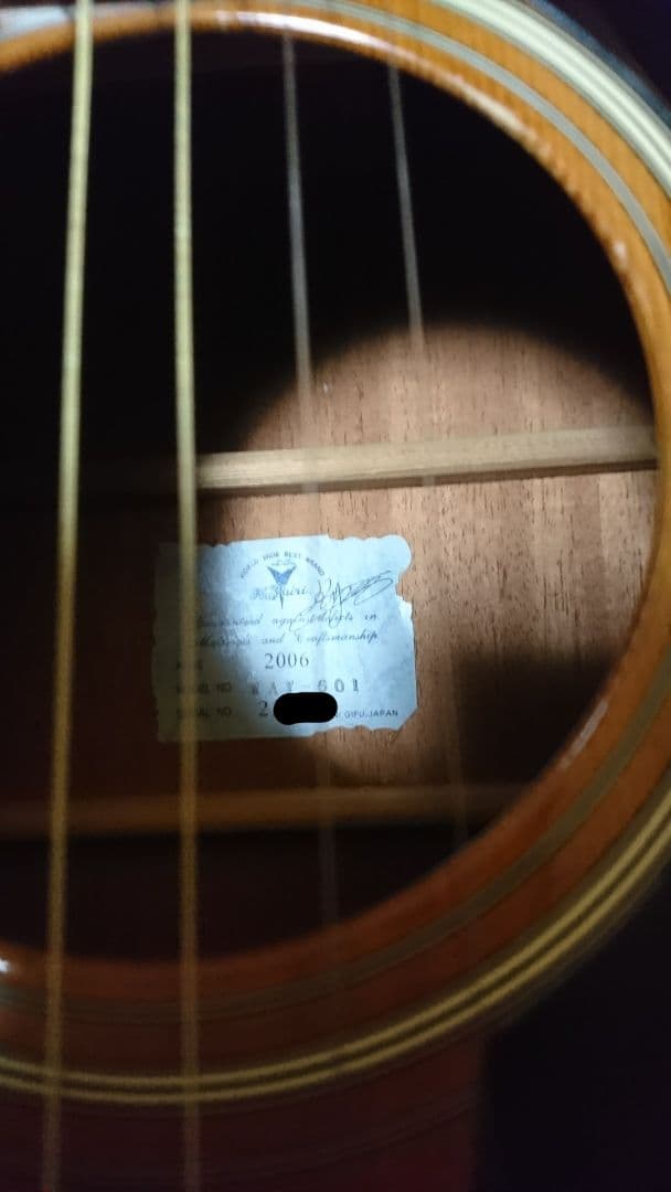 矢入　ヤイリ　yairi RAY-601