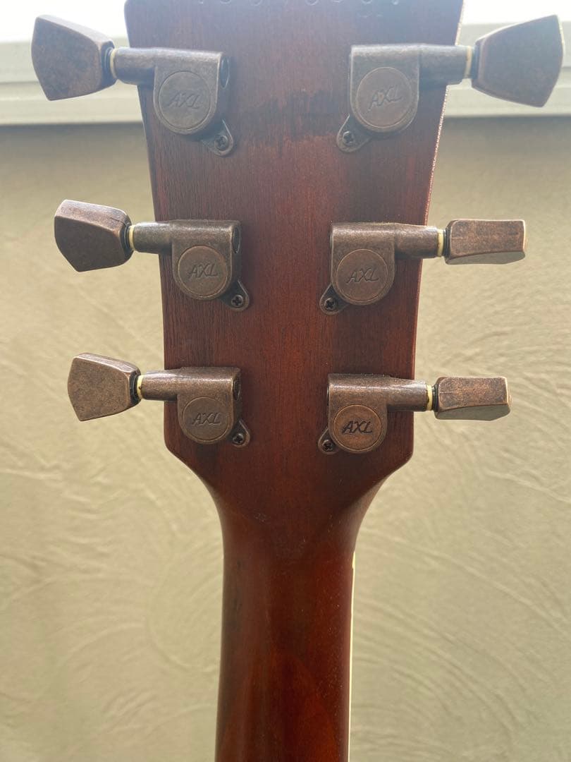 AXL/AL-820-BR (アクセル レスポールタイプ)