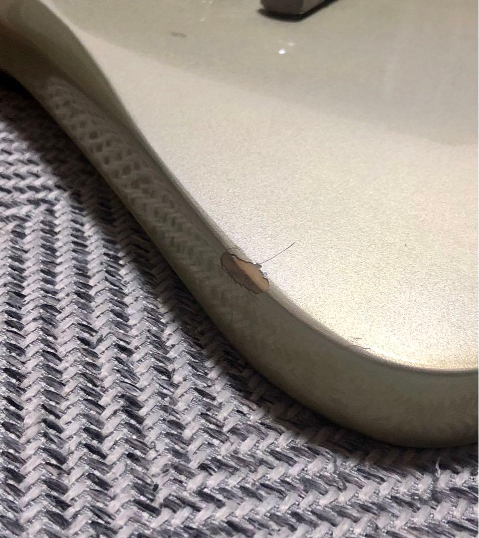 TARGET by FERNANDES MGT-50 モッキンバード 改造あり