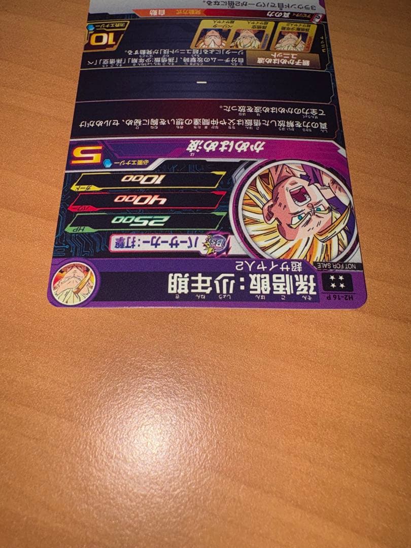 H2-16 P 孫悟飯：少年期