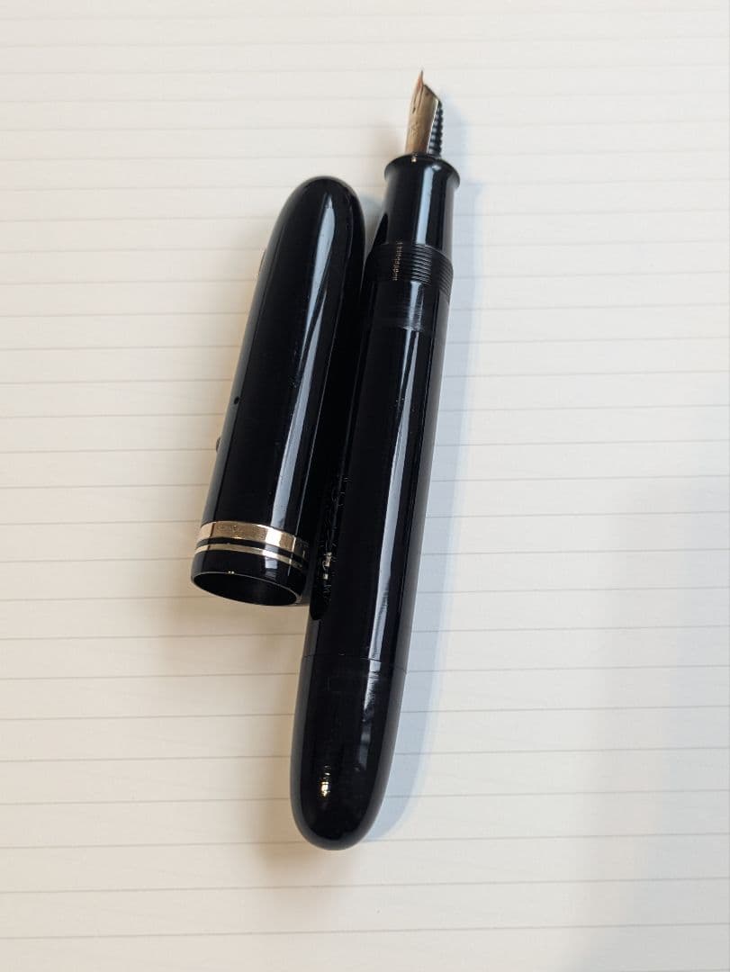 ワランテッド　WARRANTED　14KT　インク止め　エボナイト　漆　万年筆