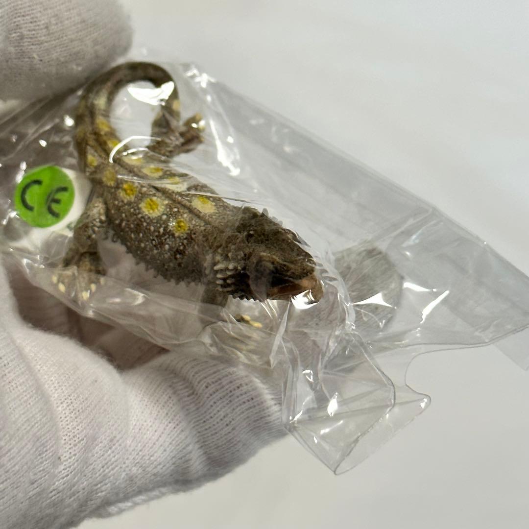 タグ付き　希少　廃盤　シュライヒ　フトアゴヒゲトカゲ　フィギュア　動物　爬虫類