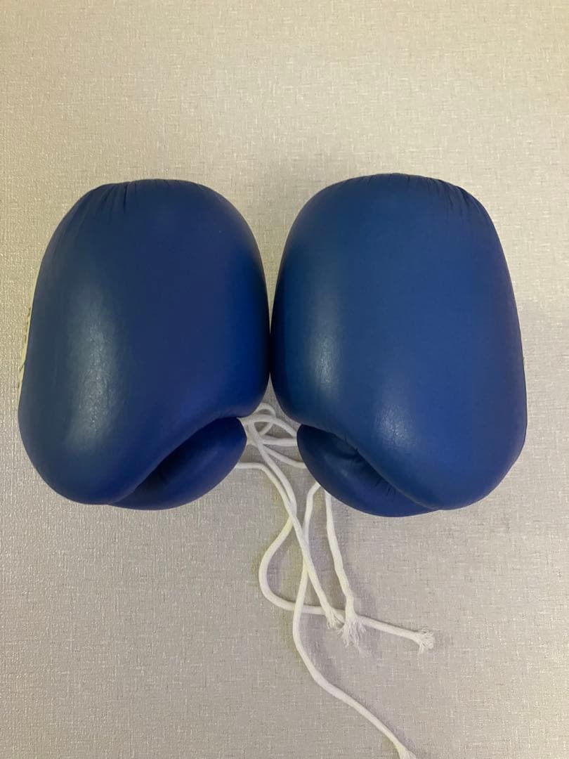 winning ウィニングボクシンググローブ ブルー 8オンス MS-200