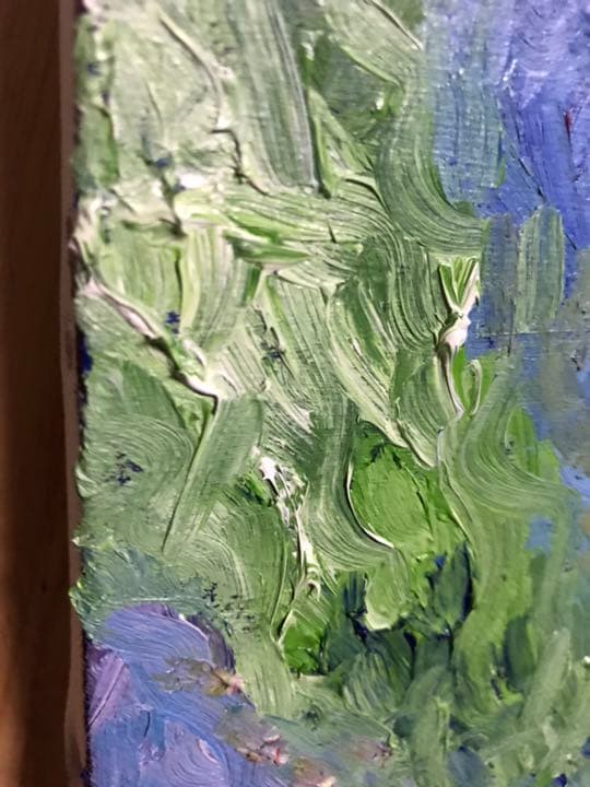 サエナクラエナ作 【バラ】