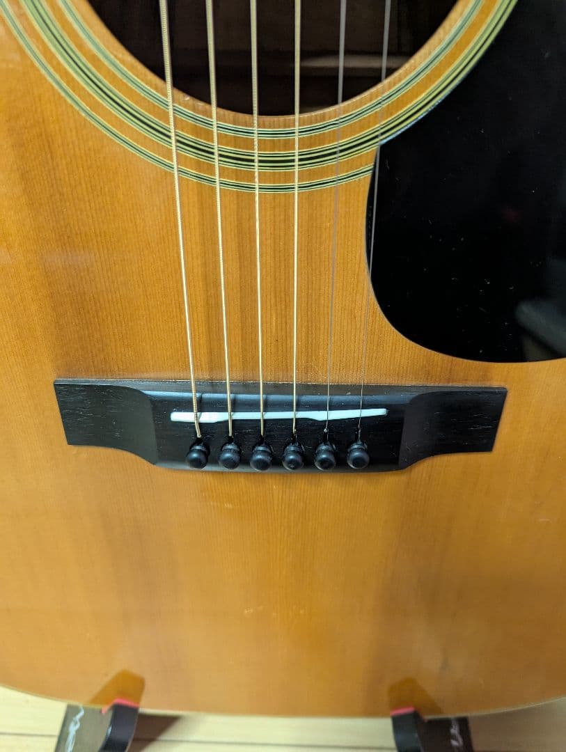 ♪Aria W-350・ハカランダ・トップ単板?♪