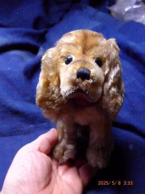 シュタイフのとても貴重な50年代から60年代の犬のぬいぐるみです
