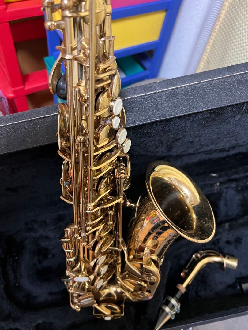 Max Toneアルトケースネックストラップリガチャーリード付Rapsag