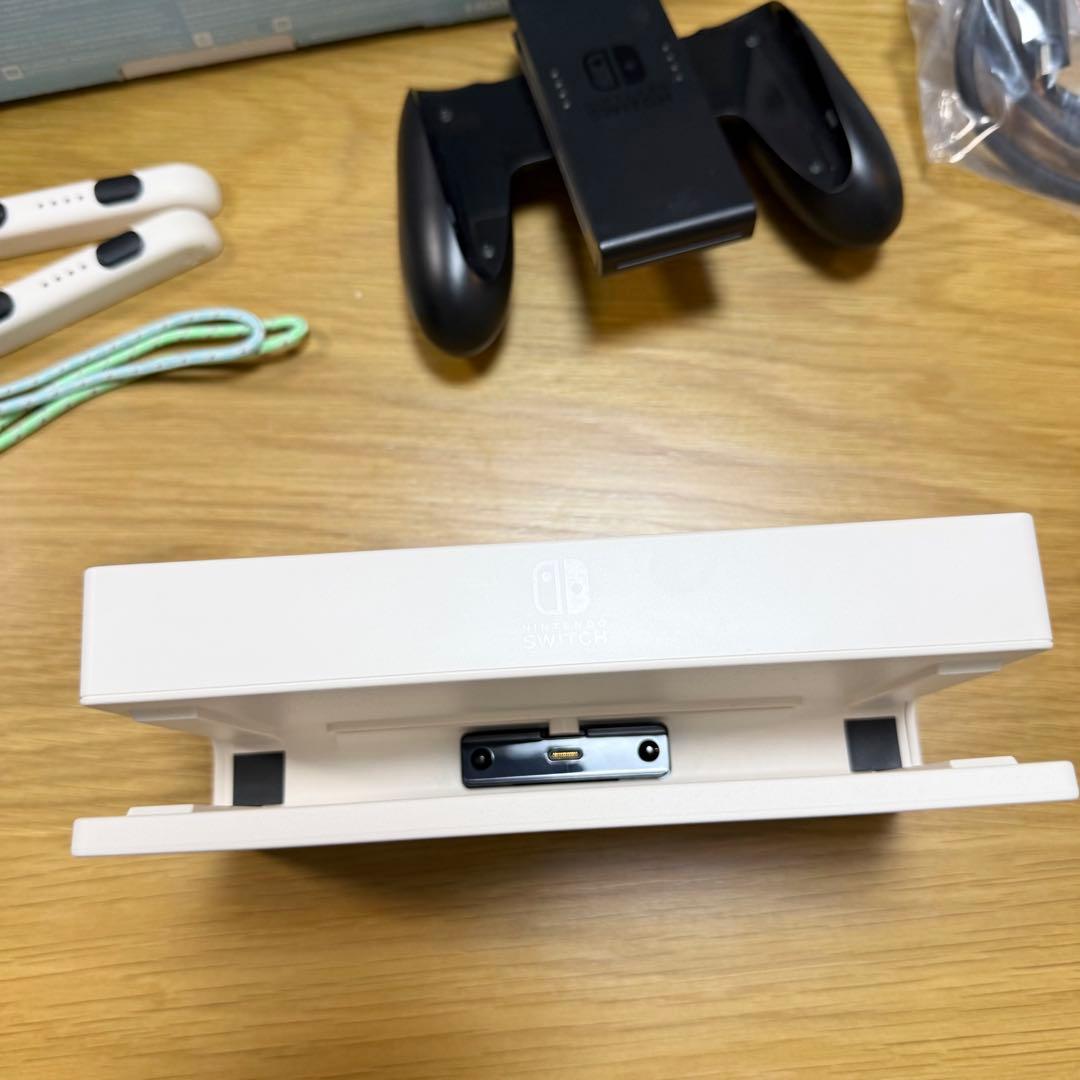 Switch あつまれどうぶつの森 Special Edition 北米版