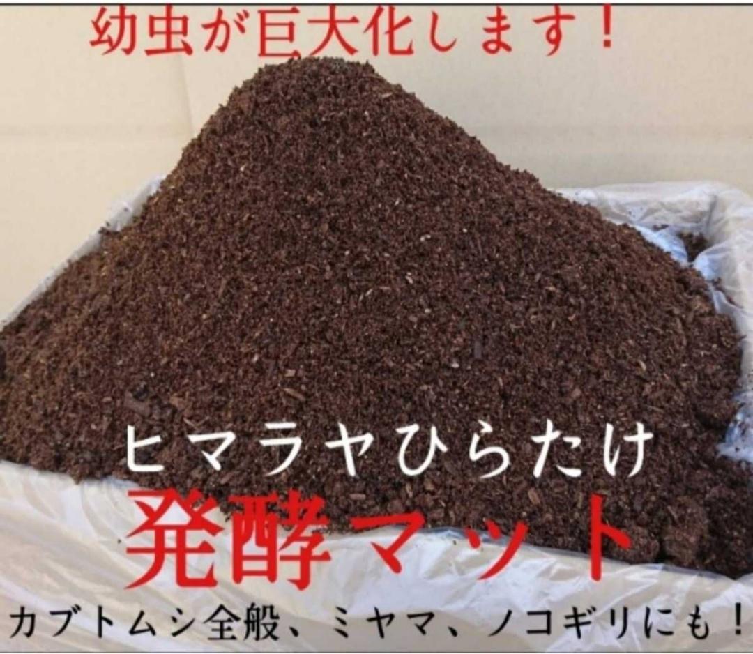 たっぷり100リットル☆カブトムシ幼虫が大きくなる！発酵マット☆雑虫湧きません！