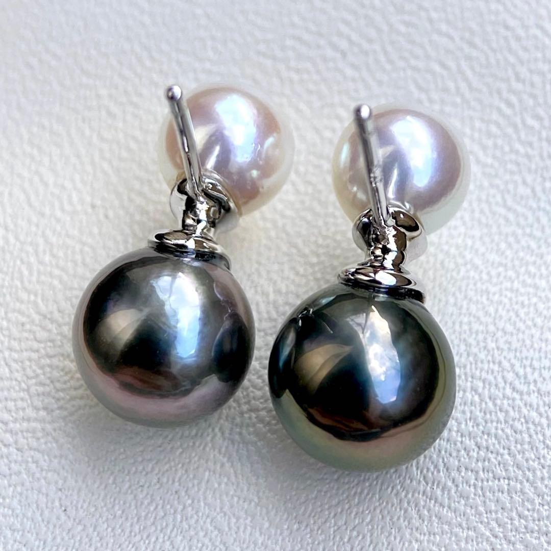 本真珠南洋黒蝶真珠とあこや真珠　双色　双子デザインs925ピアスBL932