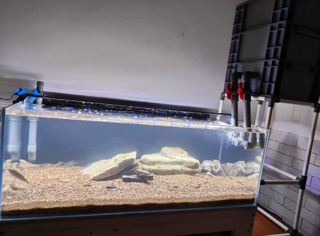 万能濾過お任せ濾過材付きフルセット 水槽池用濾過器フィルター大型水槽濾過装置