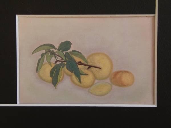 平山 郁夫、果物、希少画集画、新品高級額、額装付、状態良好、油彩 風景