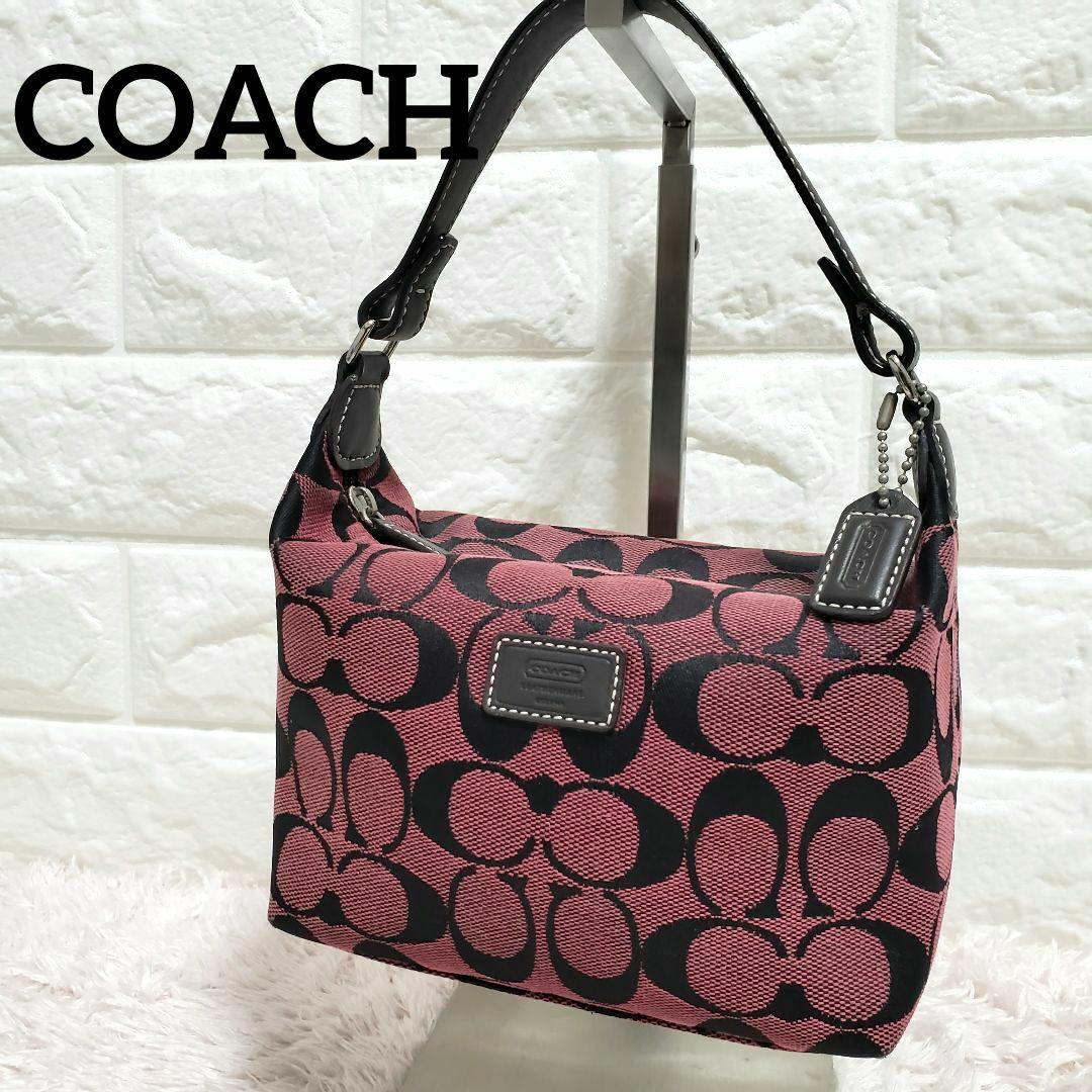 COACH コーチ アクセサリーポーチ シグネチャー ワンショルダーバッグ 美品