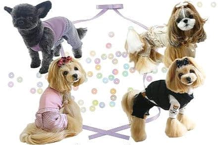 新品 BEAR HOODIE＆SWING PLEATS PTサーカスサーカス