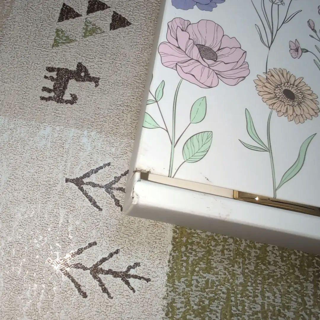 モイスティーヌコフレ